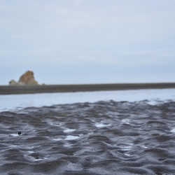 2017-03 New Zealand/Auckland Centenial Park/DSC_0010.JPG